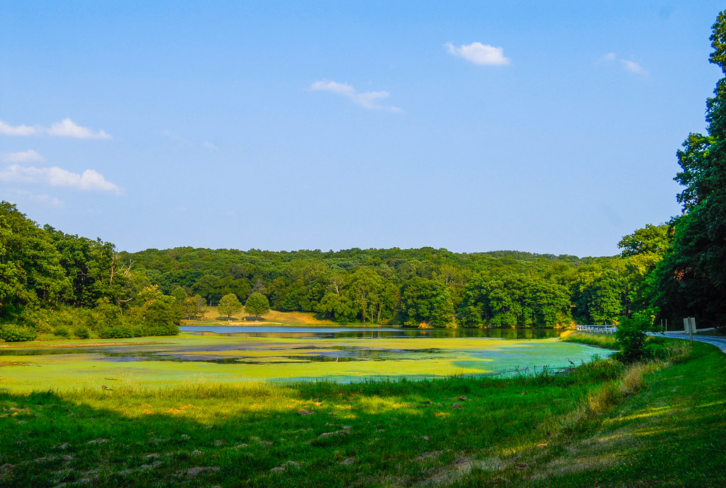 Crowder State ParkJune 30, 2012_DNR0597.jpg MissouriDNR Flickr
