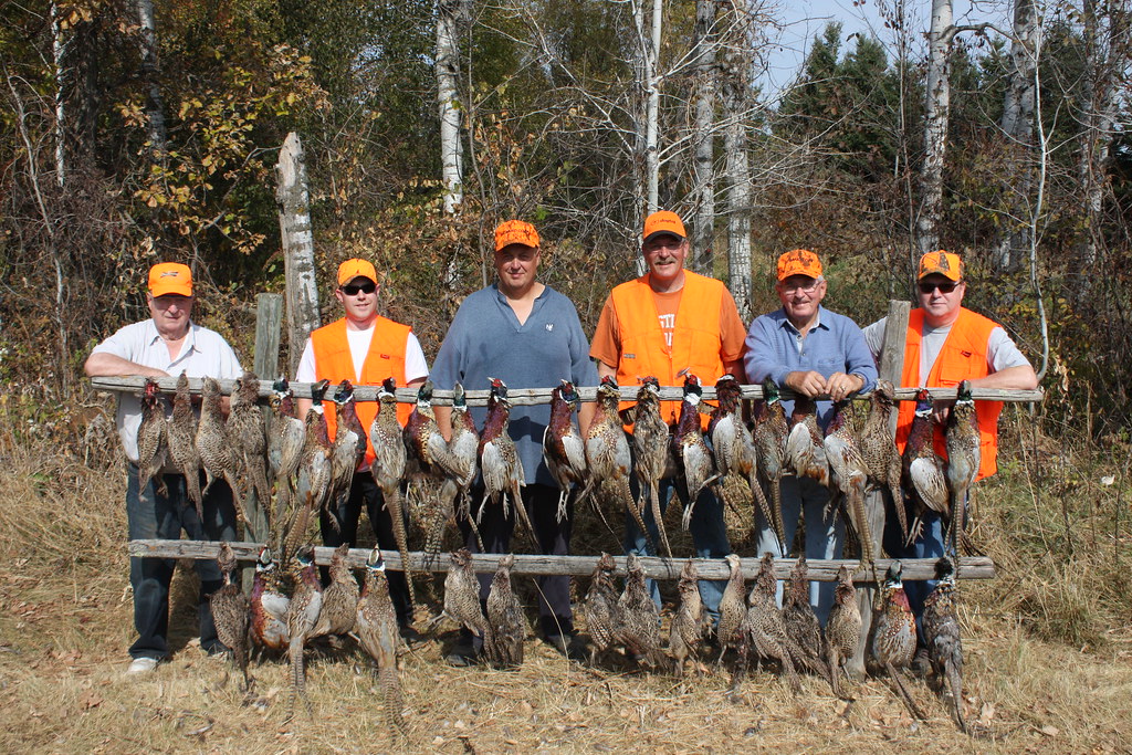 Hunting Game Farms Near Me Blood And Beauty On A Texas Exotic Game
