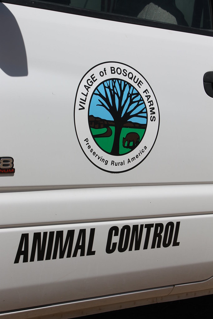 Bosque Farms March 2012 174 Lisa Ann22 Flickr