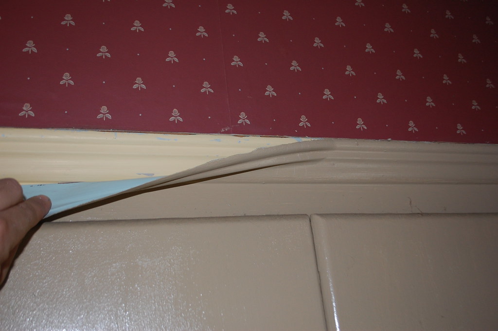 DSC_9537 Peeling paint off the Pixel Flickr