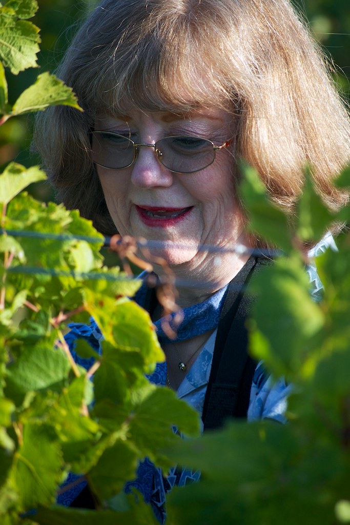 DSC_0174 Bob Lee Flickr