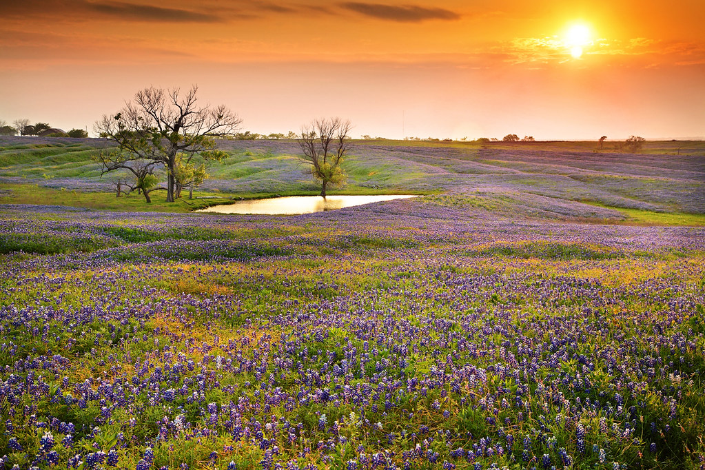 Sunset by the Lake Instagram www.whosHuLandscap… Flickr
