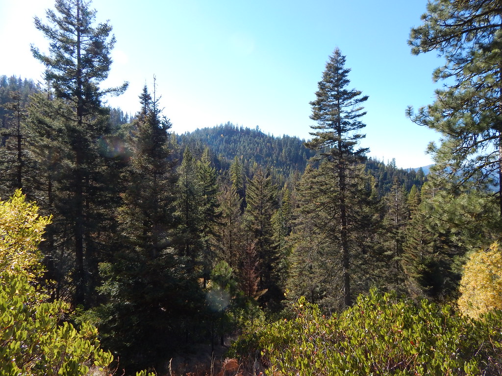 Blewett Pass 104 Don L Flickr