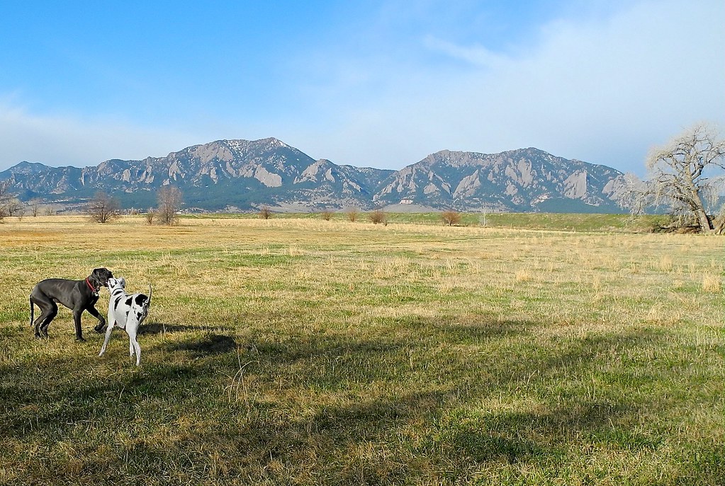Dry Creek Morning Jon Hurd Flickr