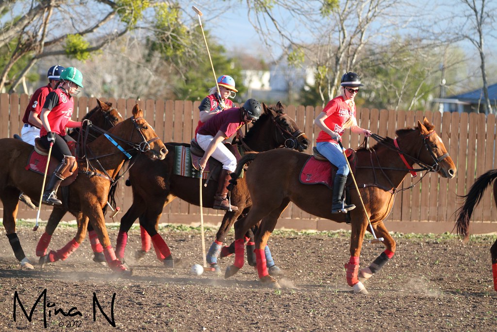 "texas tech" polo "texas state" horse horses Mina N Flickr