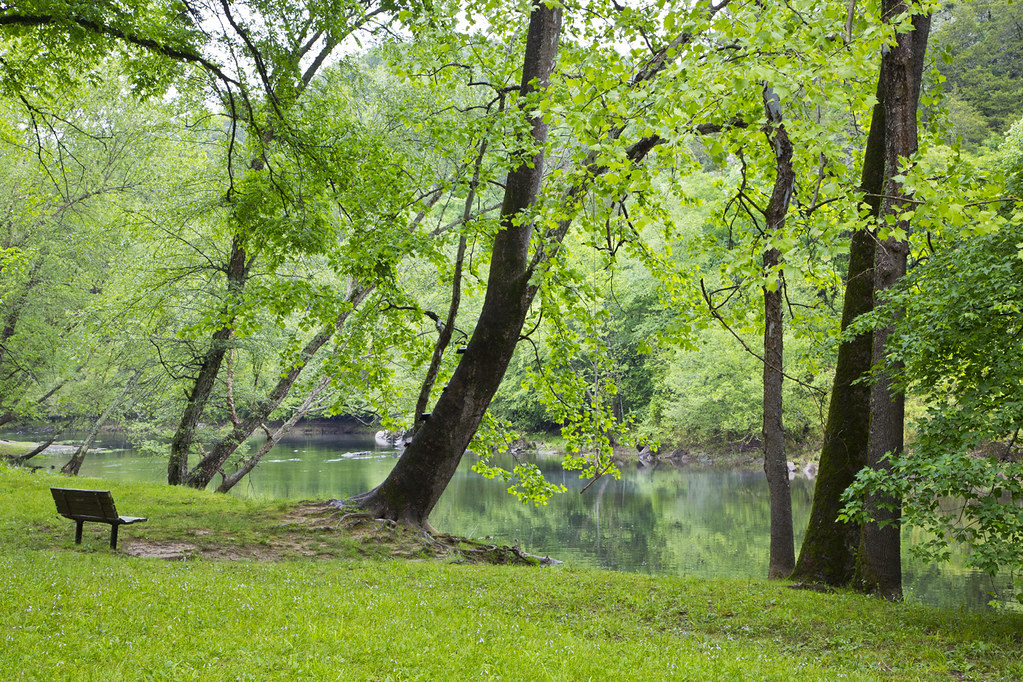 Cossatot Reefs Campground at Gillham Lake This is a very n… Flickr