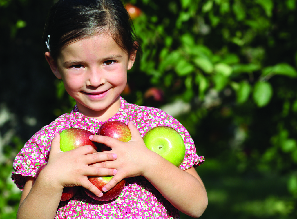 Girl Picking Apple Lotts of apple picking in Oneida County… Oneida