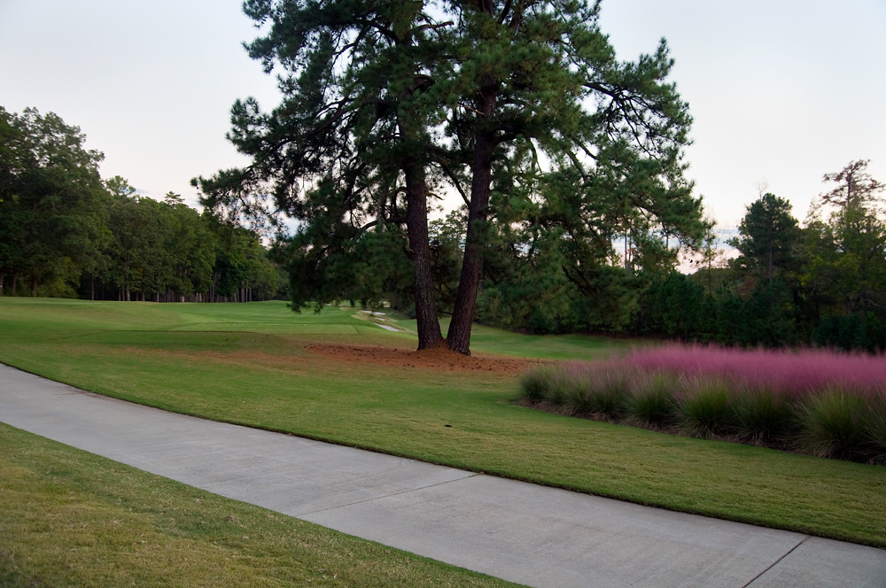 Finley Golf Course_UNC townofchapelhill Flickr