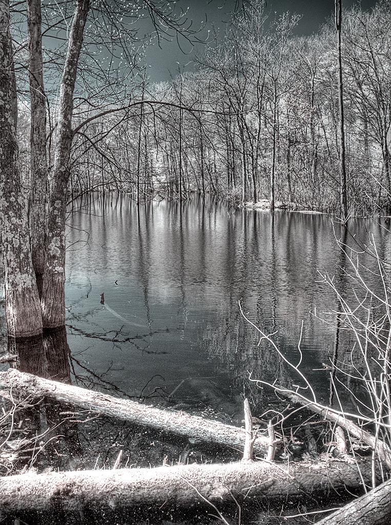 IMG_3532_3_4_760nm_IR Unnamed Pond Billerica, MA Flickr