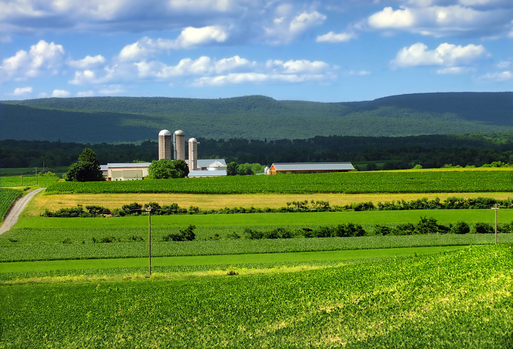 Buffalo Valley (5) Farmstead, Lewis Township, Union County