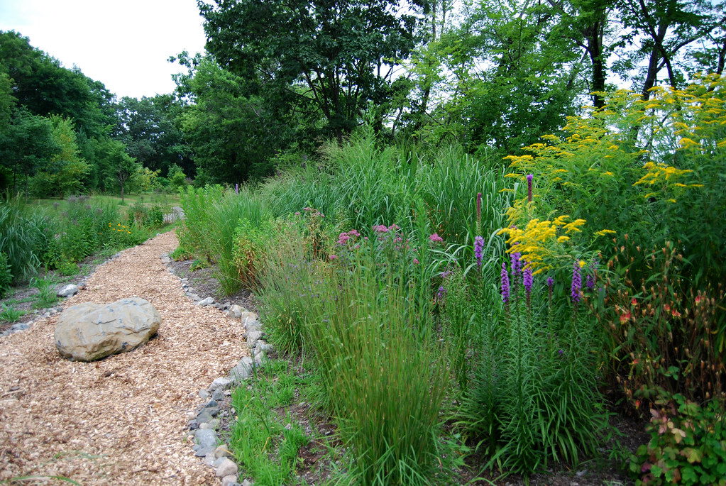 Summer in Arlington's Wildlife Habitat Garden Rachel James Flickr