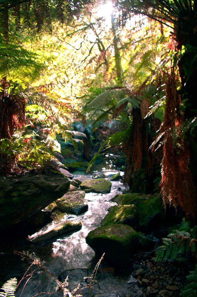 _IGP5316 Meander Valley Tasmania Mark Gumley Flickr