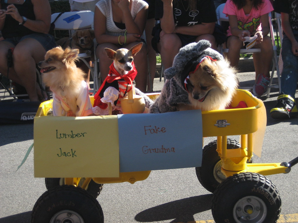 Long Beach Halloween Dog Parade 2012 Spencerette Flickr