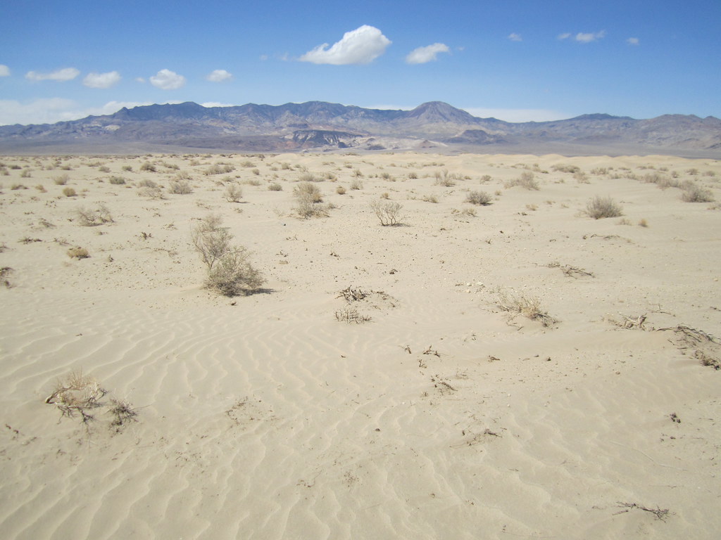 Clayton Valley Nevada at Omar Ellis blog