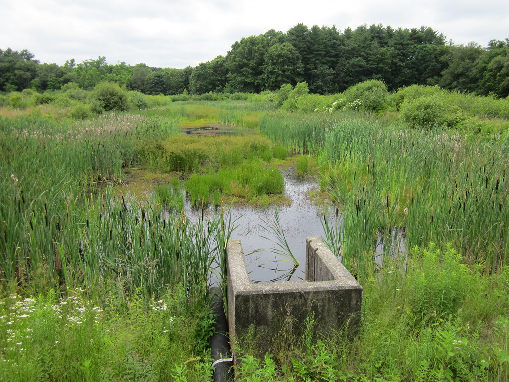 Warm water ponds North Attleboro, MA, June 2012 Several p… Flickr