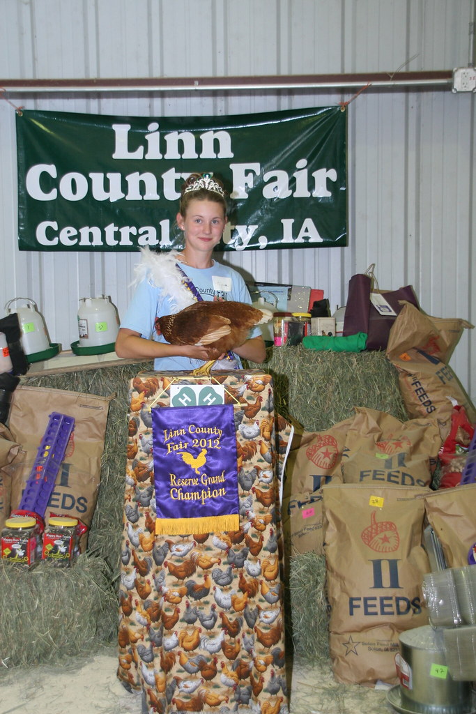 IMG_8504 2012 4H/FFA Poultry Show Photos courtesy of To… Flickr