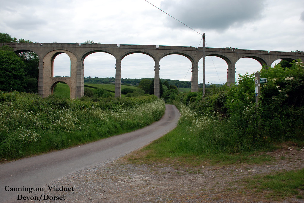 Cannington Viaduct Now disused situated near Lyme Regis. Eric