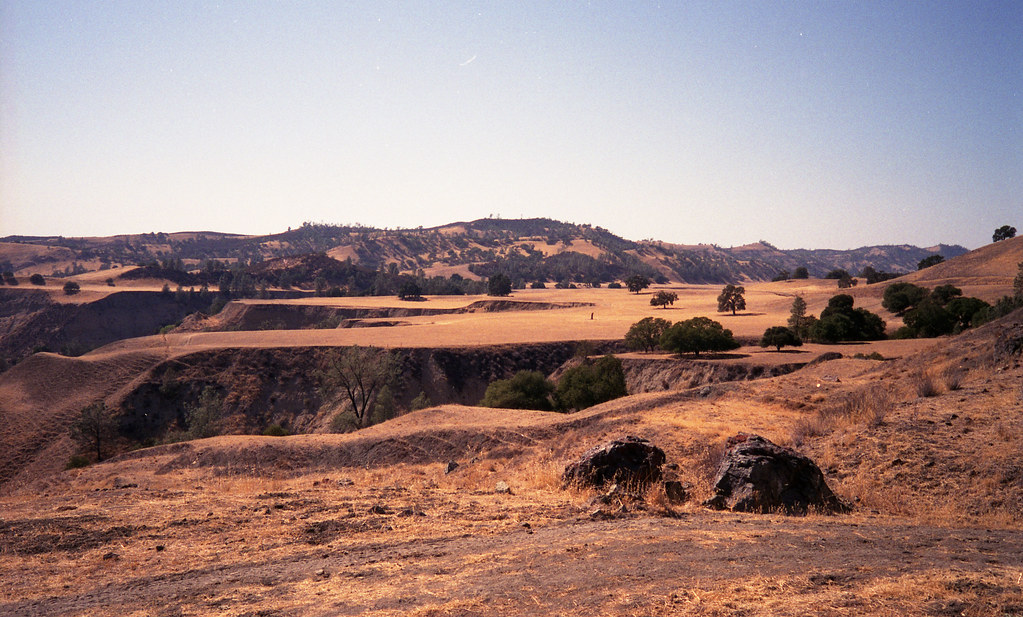 View from Peach Tree Road, Monterey County CA Looking up t… Flickr