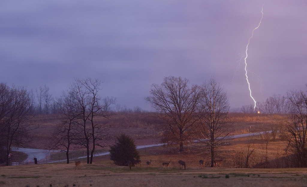 DeerLightning Deer grazing during a thunderstorm. Got rea… Flickr
