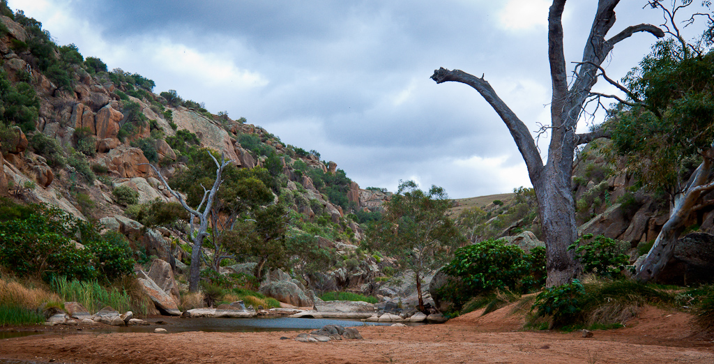 Reedy Creek Reedy Creek at the Mannum Waterfalls, the fall… Flickr