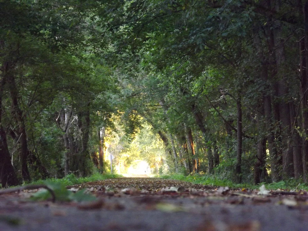 Durand bike trail cherw2 Flickr