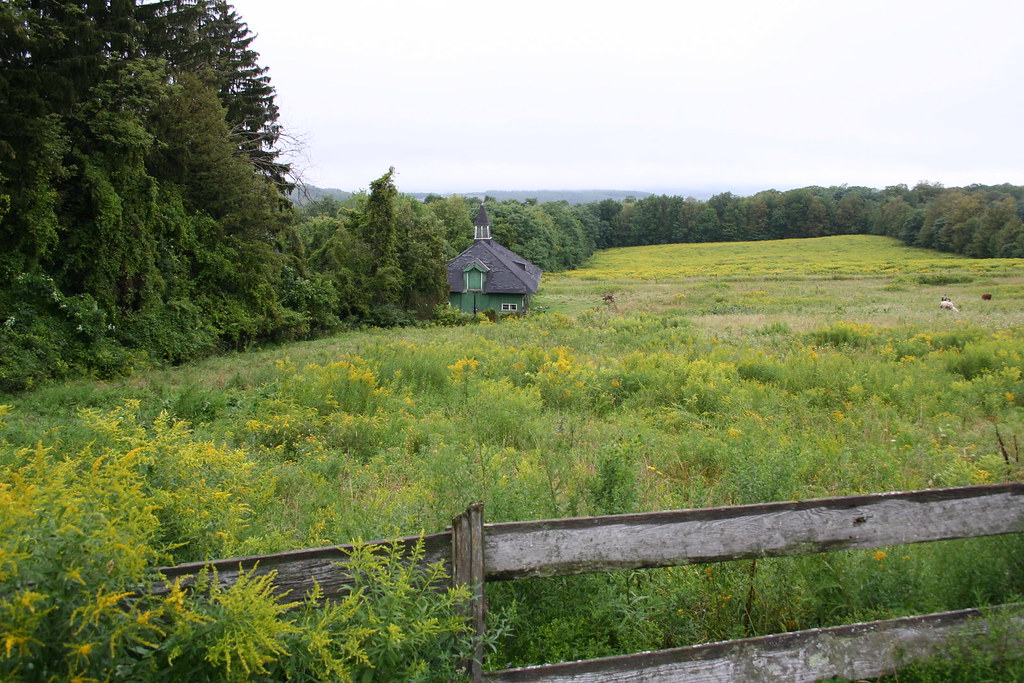 Clausen lower meadow Clausen Farms, Sharon Springs, NY Kellsboro