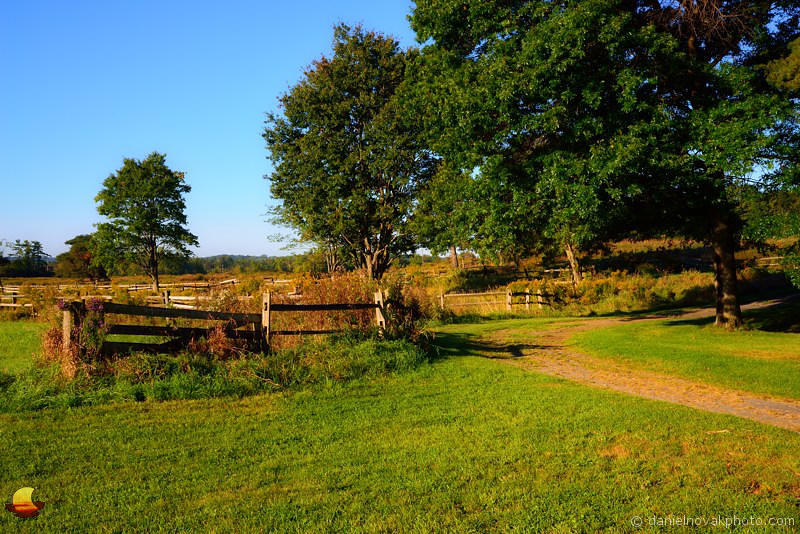 Elevation of Cowlesville, NY, USA Topographic Map Altitude Map