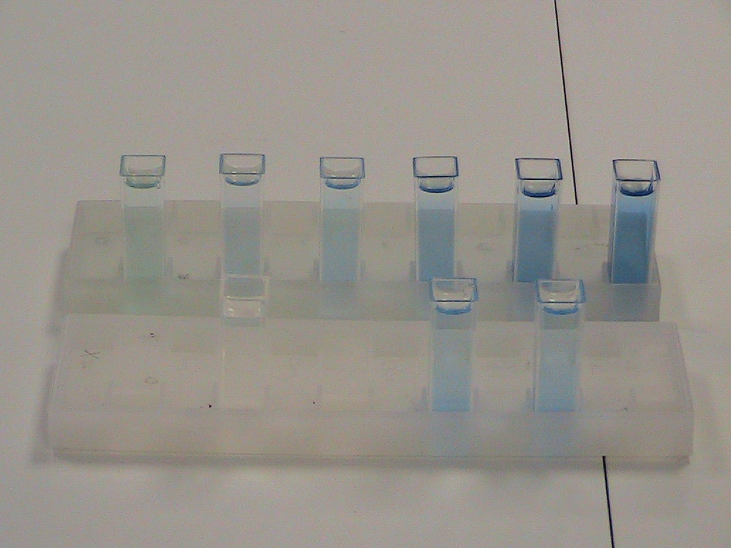 Assay Set Up Spectrophotometer assay for protein. Blanks, … Flickr