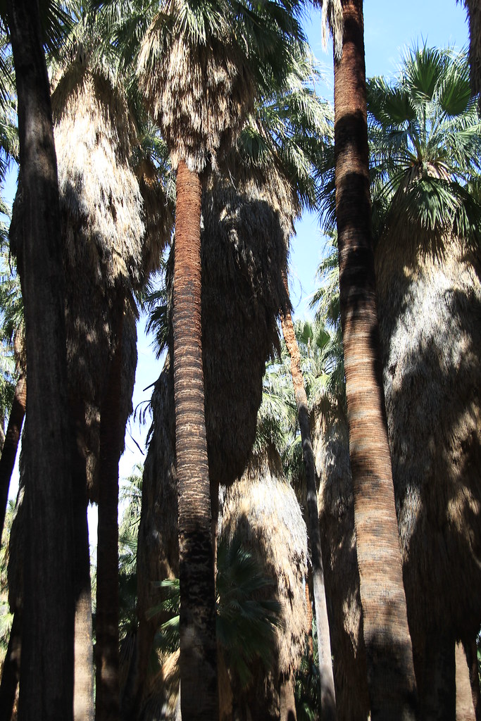 Palm Springs Indian Reservation 227 sgstandre Flickr