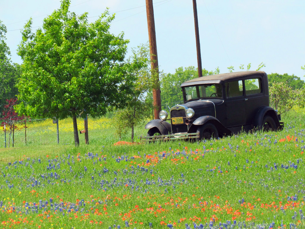 Salem Florist Flower Delivery by Ford Flower Co.