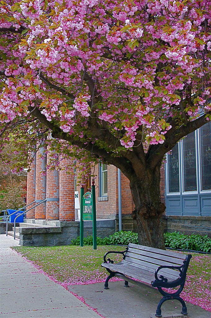 Montour Falls Memorial Library After reading this descript… Flickr