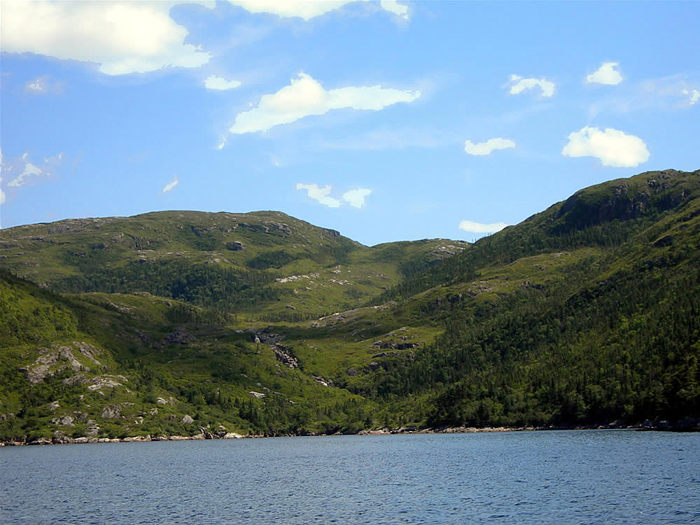 Isle aux Morts 13 Isle aux Morts is a small town on the So… Flickr