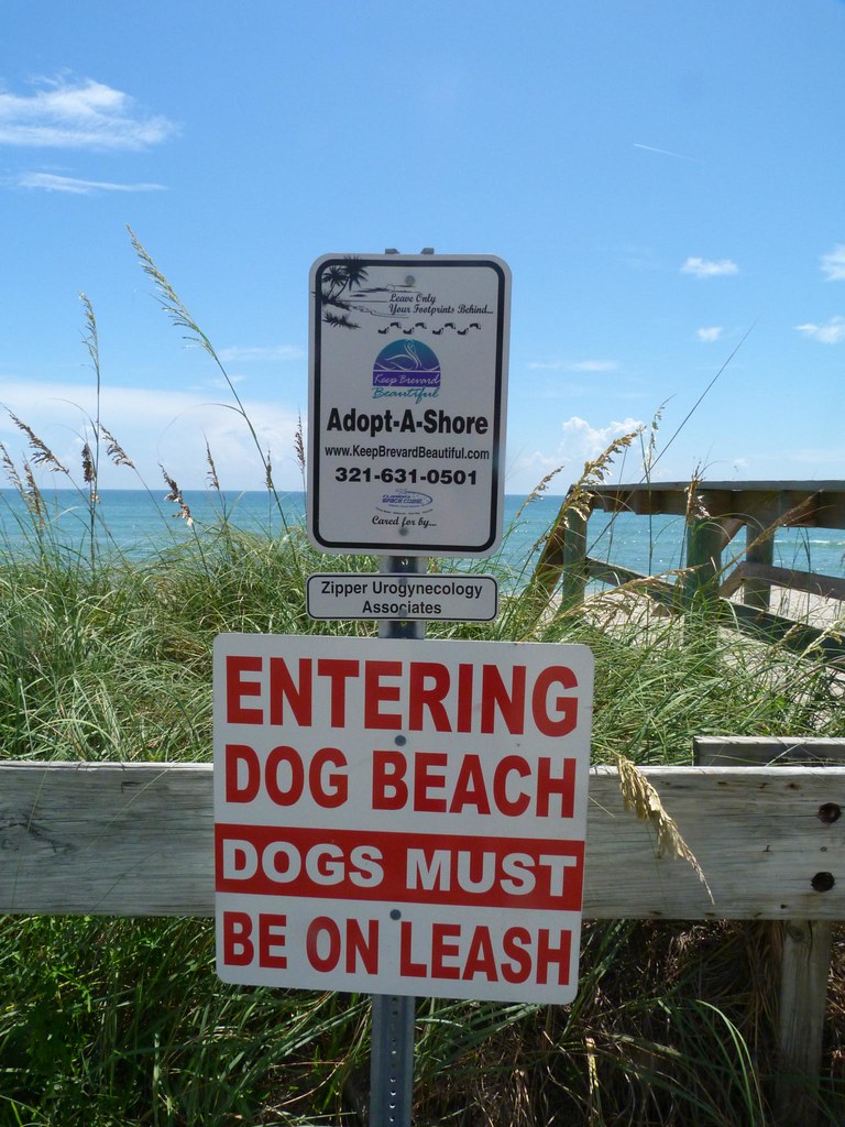 Brevard County's Only Dog Beach, Canova Park, Indian Harbo… Flickr