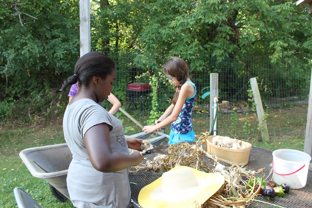 garden 007 East Greenbush Central School District Flickr