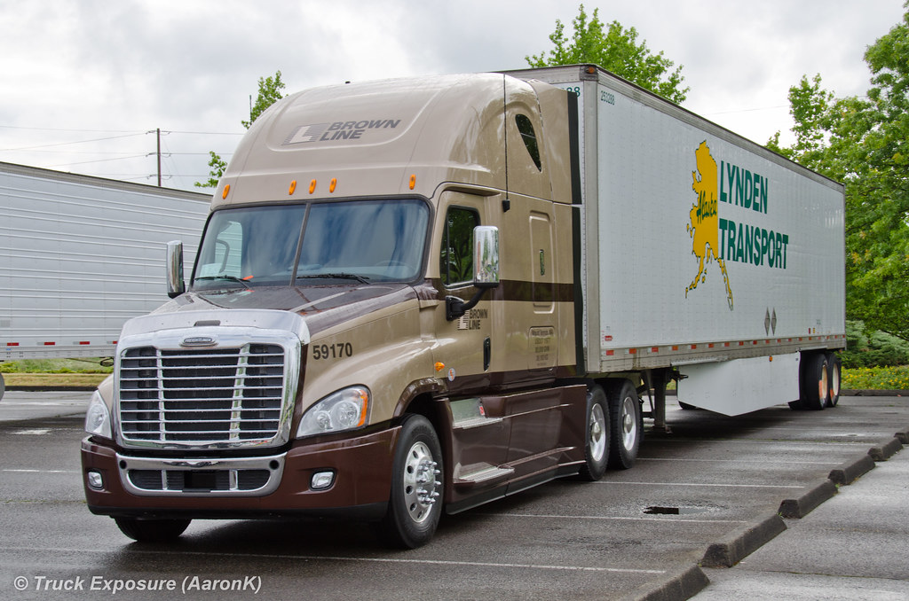 Brown Lines Freightliner Cascadia WA Truck Driving Champio… Flickr
