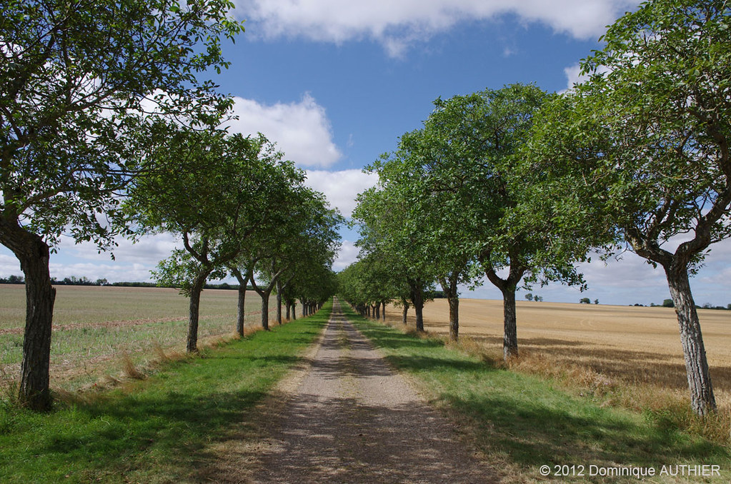 Paysage du Berry Pentax K5 Dominique AUTHIER Flickr