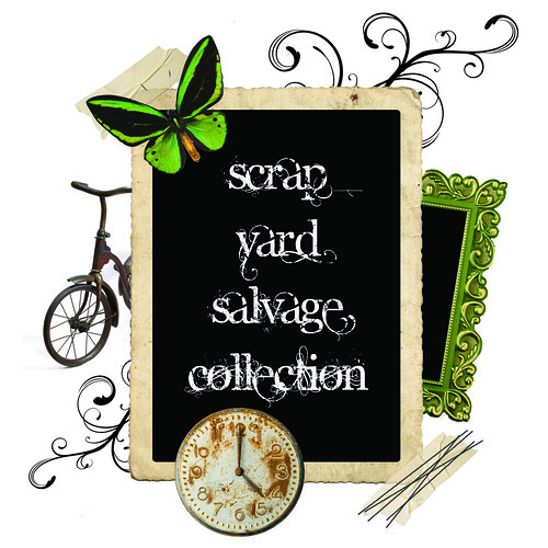 Suzanne Rouleau Flickr