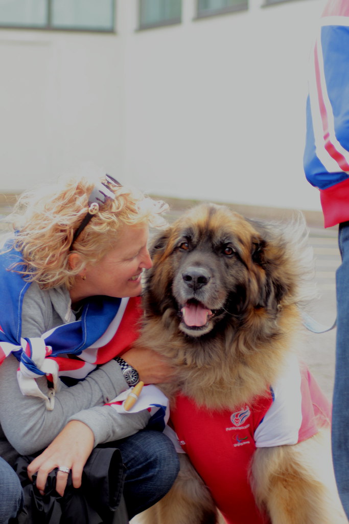 Olympic Torch Relay Dog at the Olympic torch relay in Bexh… Chris D