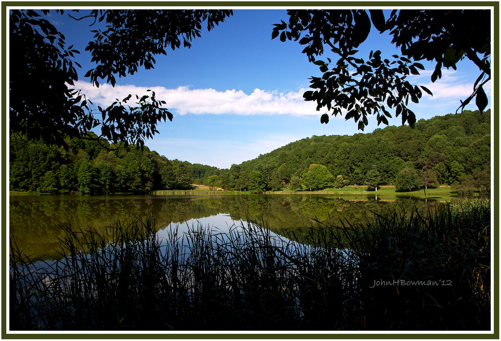 Elevation of Arcadia, VA, USA Topographic Map Altitude Map