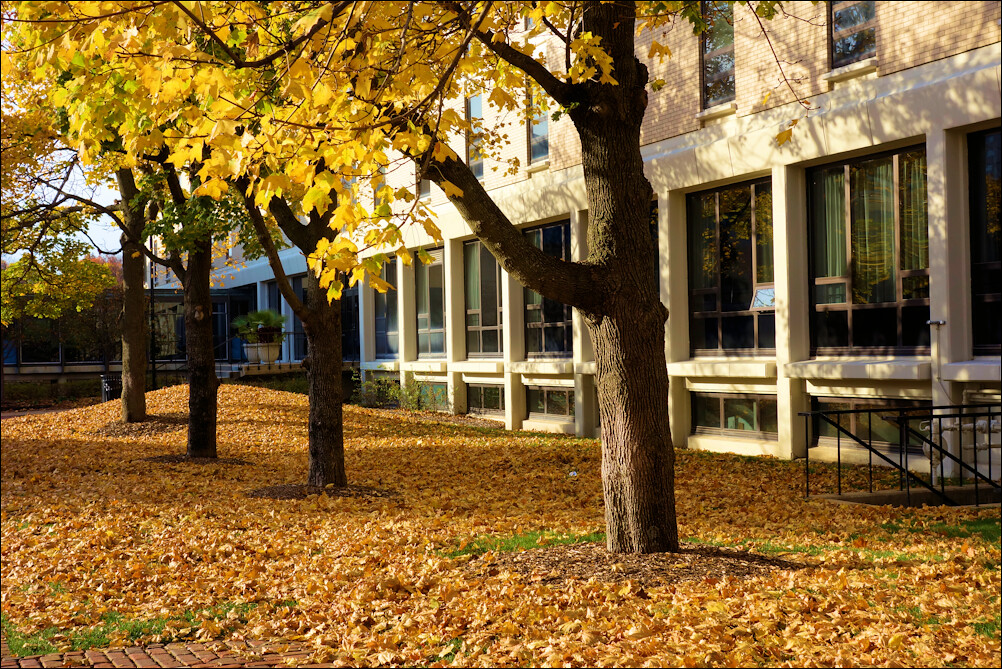 Creighton University Raymond Bucko, SJ Flickr