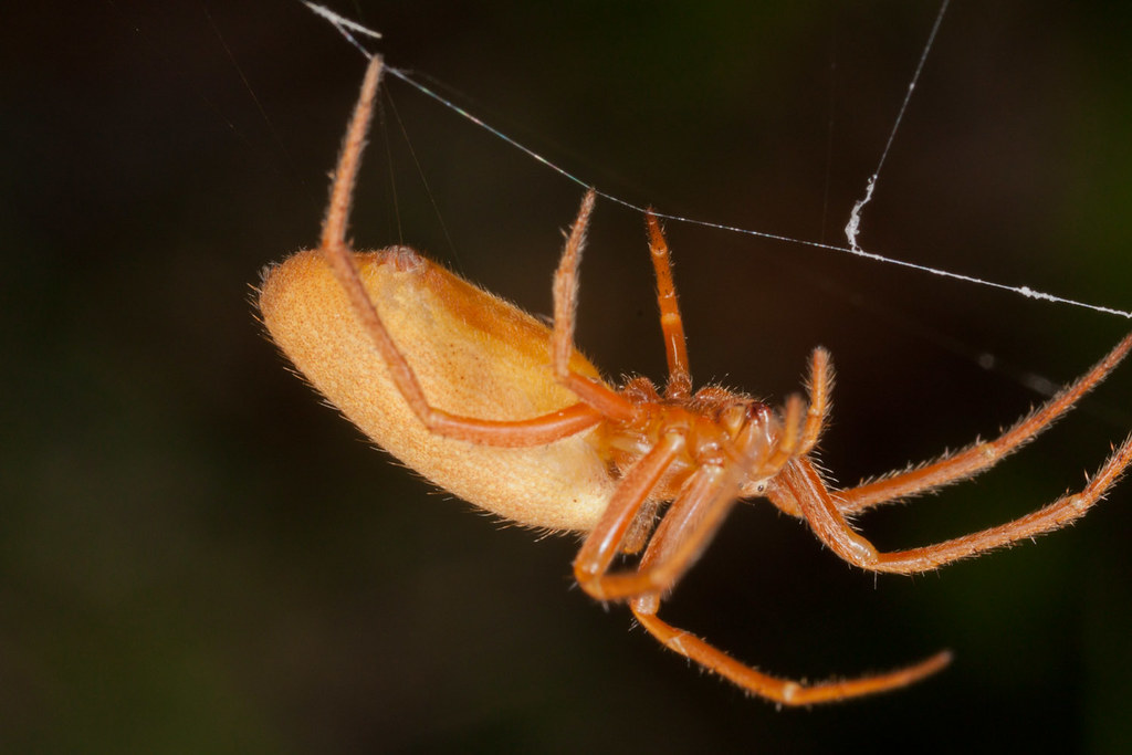 Clb-20111123-0048.jpg | Cyril Le Borgne | Flickr