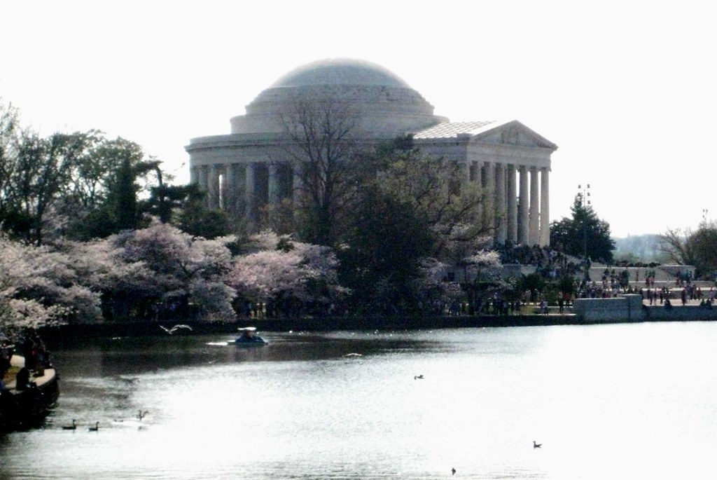 Lincoln Memorial at Cherry Blossom Time Visiting Nicole wh… Flickr