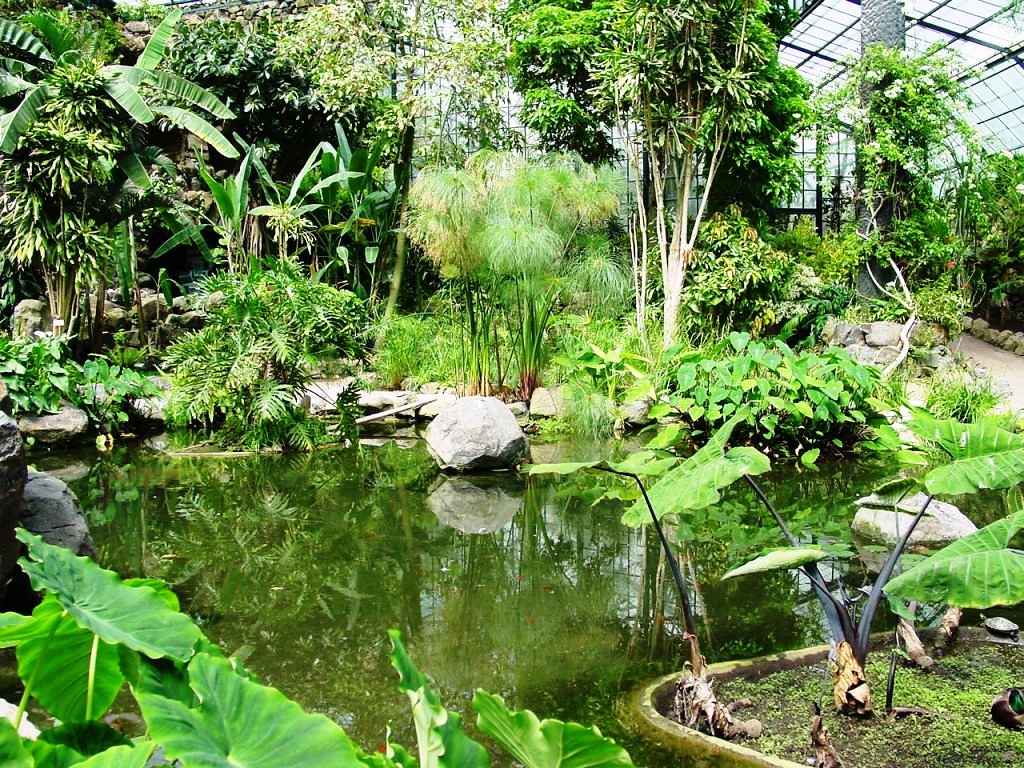 Greenhouse in Lisbon Portugal © This photograph is a cop… Flickr