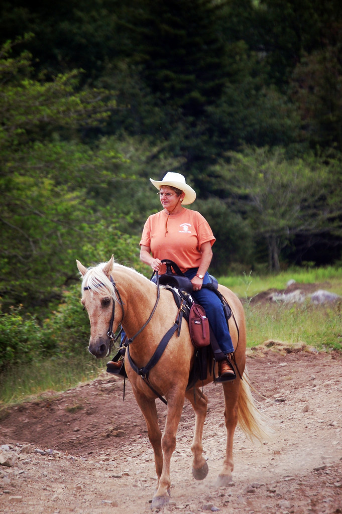 Horseback riding Horseback riding is a favorite activity a… Flickr