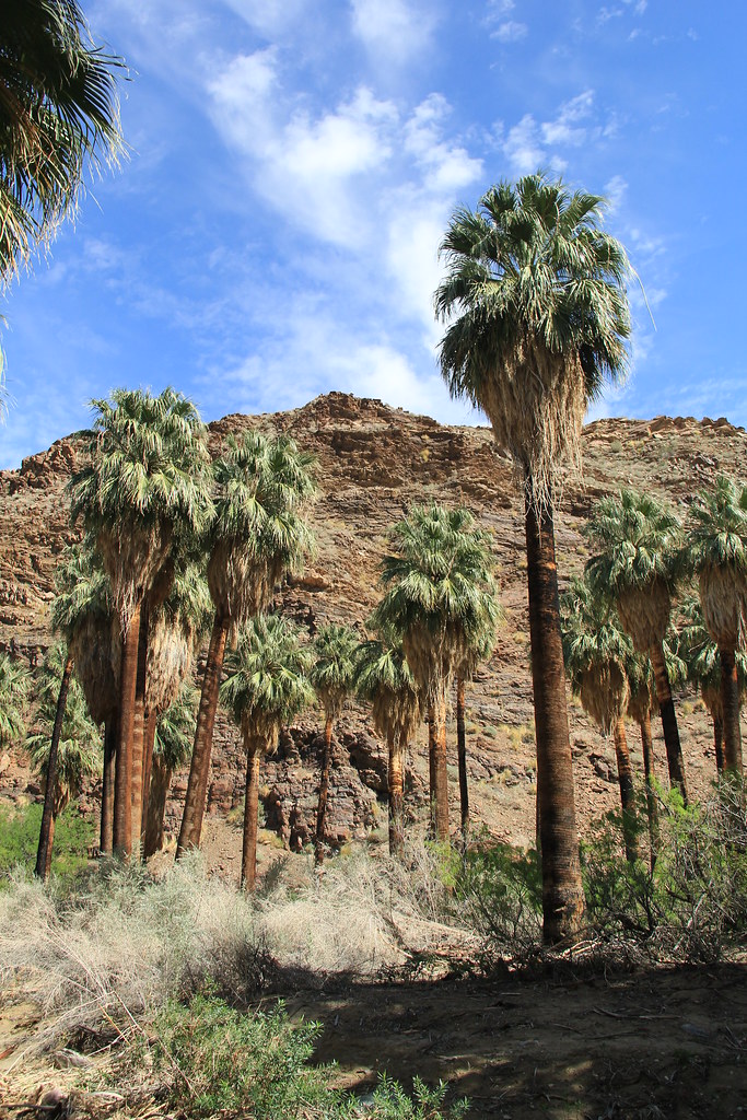 Palm Springs Indian Reservation 223 sgstandre Flickr