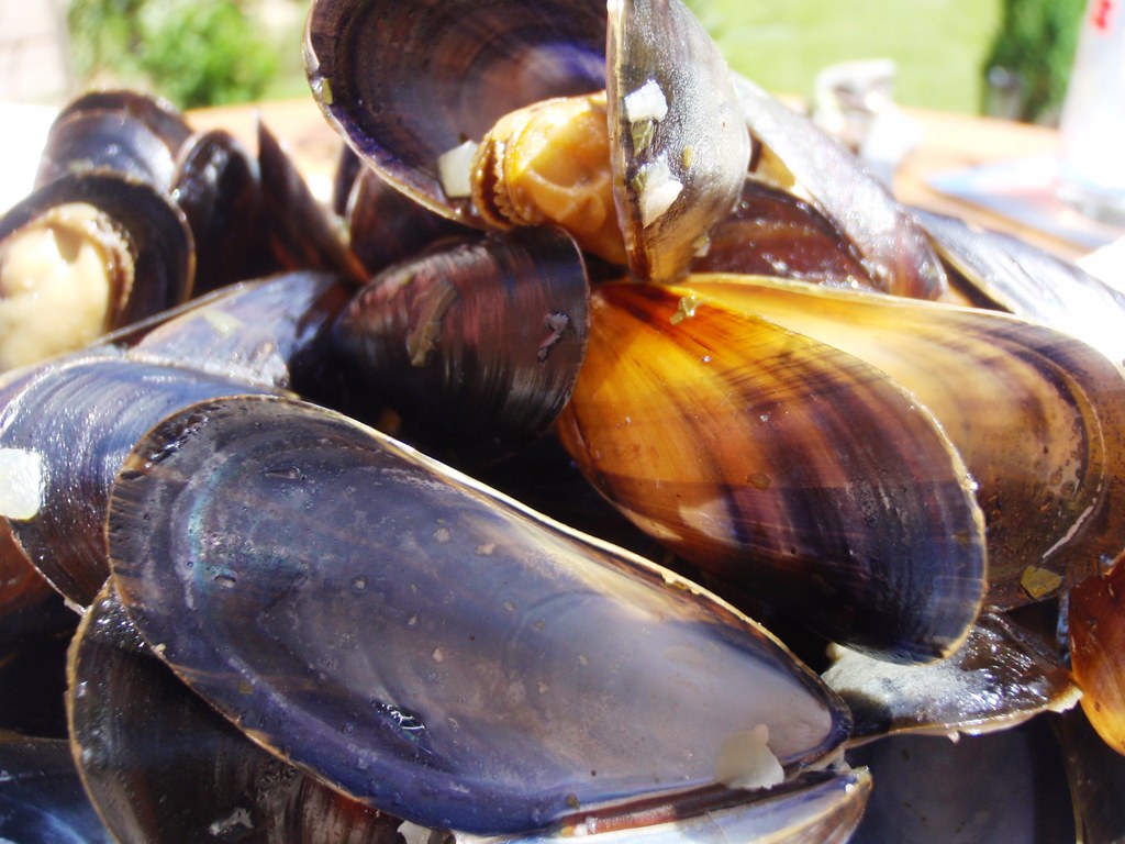 Tasty snack Mussel's in white wine, garlic and onion....fr… Flickr