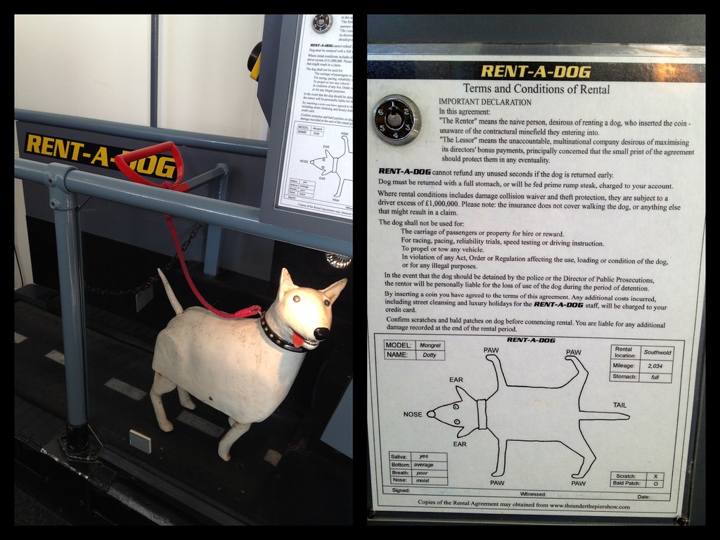 Rentadog Part if the Under the Pier Show on Southwold Pi… Susanne