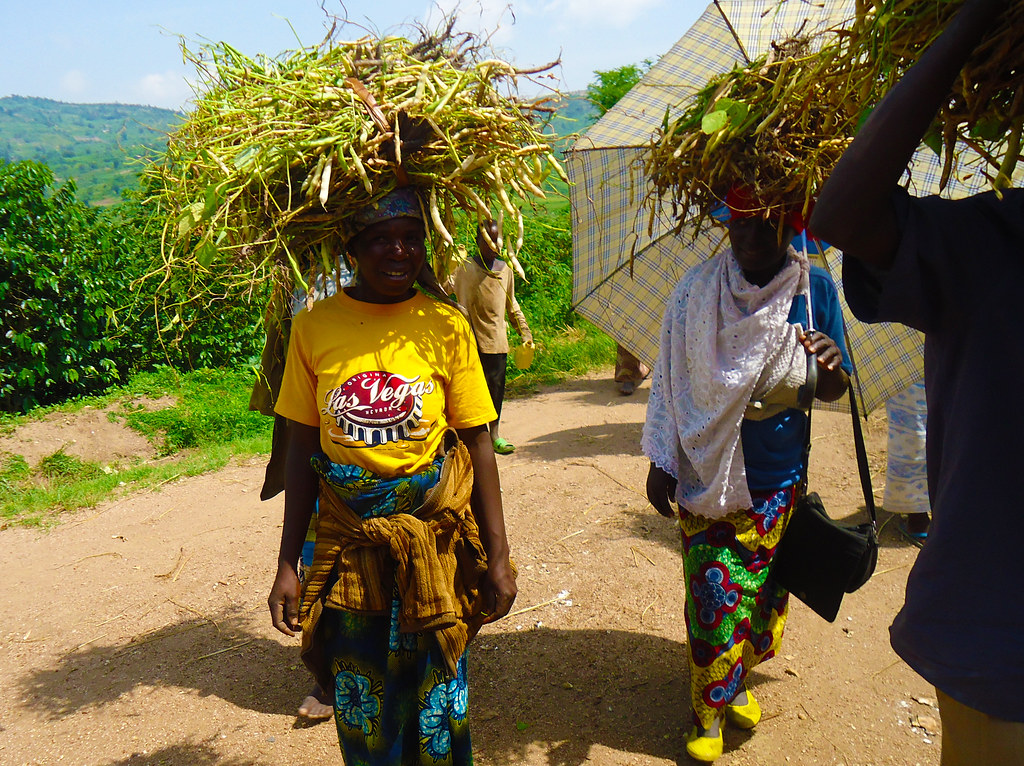 Women in Rwanda's farmland with harvested beans Project 3 … Flickr