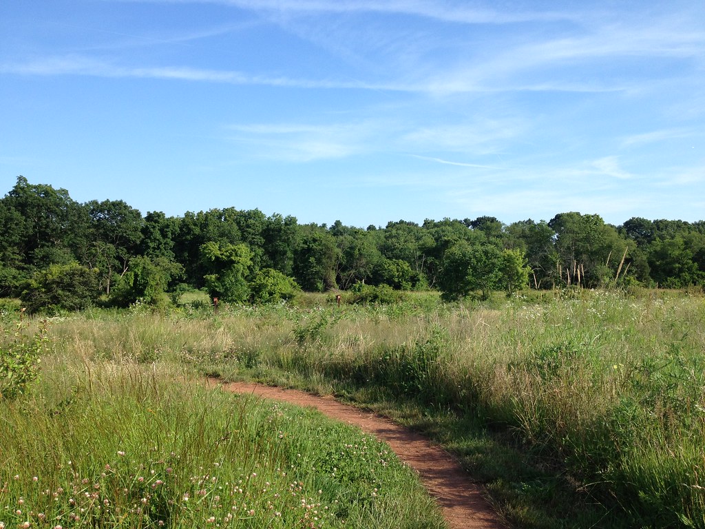 Six Mile Run A fair bit of the village of Six Mile Run was… Flickr