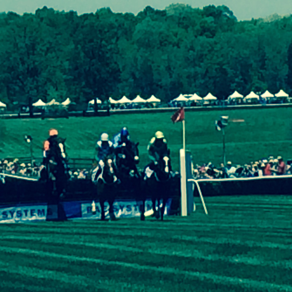Queen's Cup steeplechase in Charlotte. Richard Jones Flickr